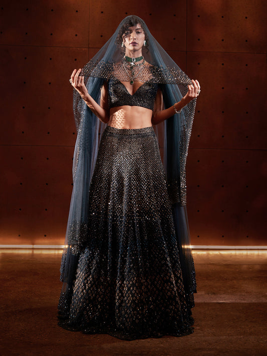 Kepler Lehenga Set