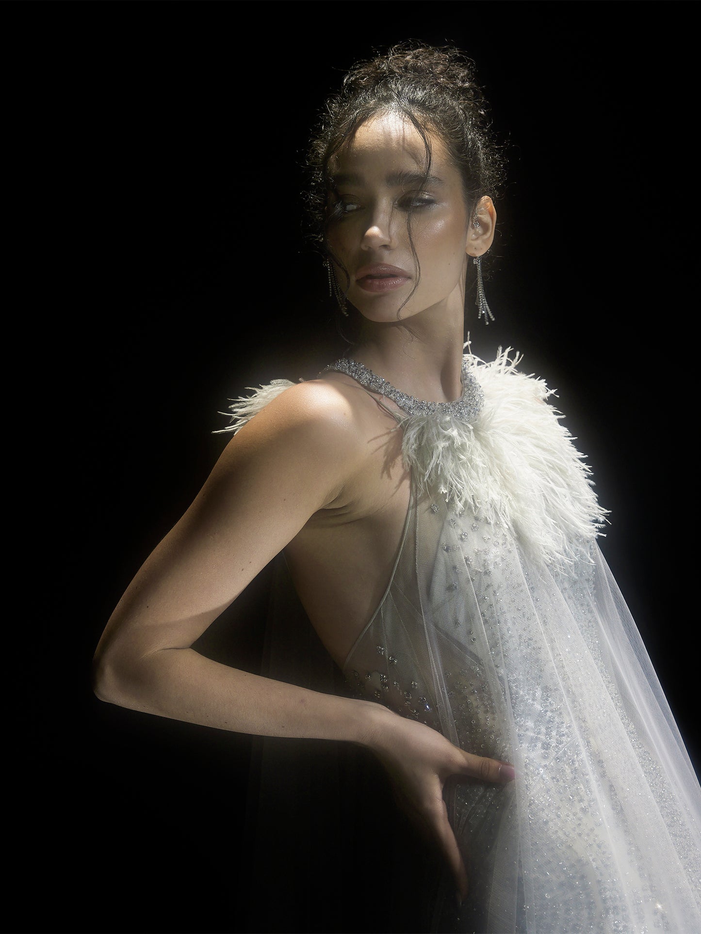 Heavily Embellished Fish Cut Gown With Cape