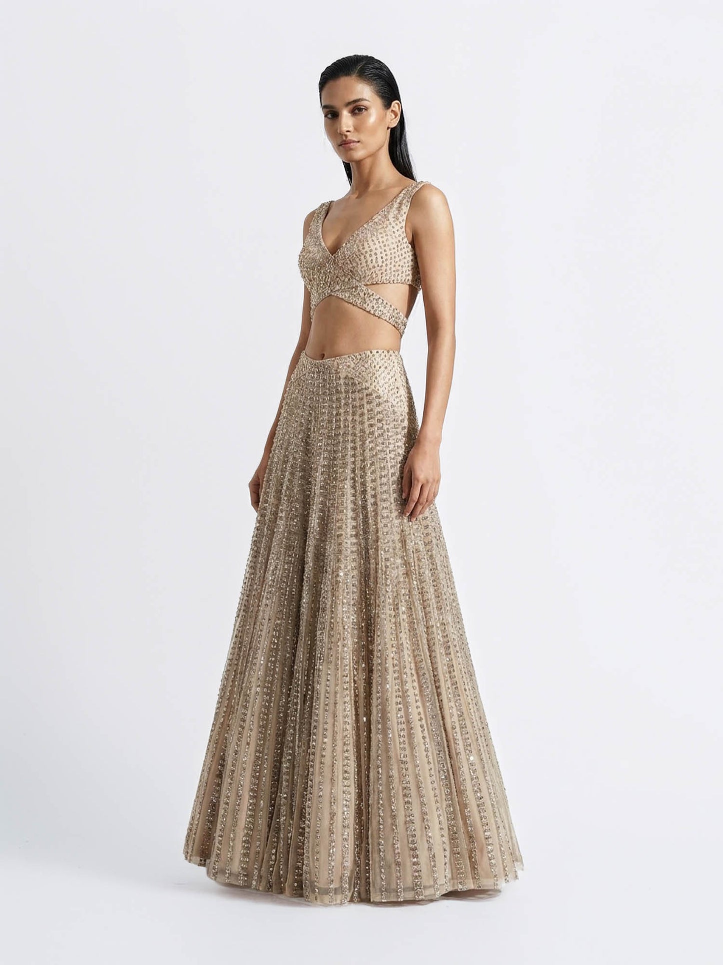 Luminous Lineage Lehenga Set