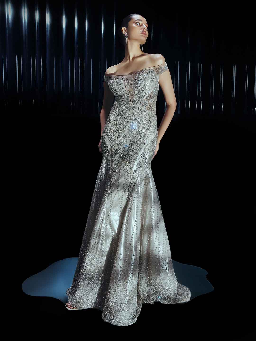 Moonlit Feathered Gown Set