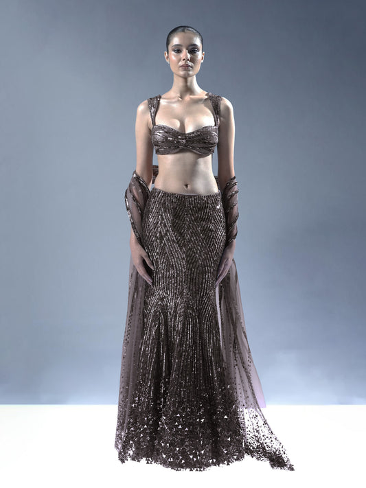 Starlit Cascade Lehenga Set