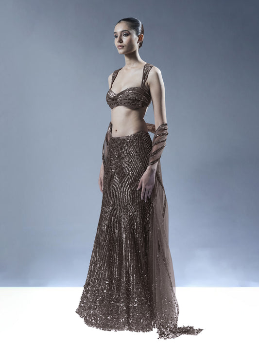Starlit Cascade Lehenga Set