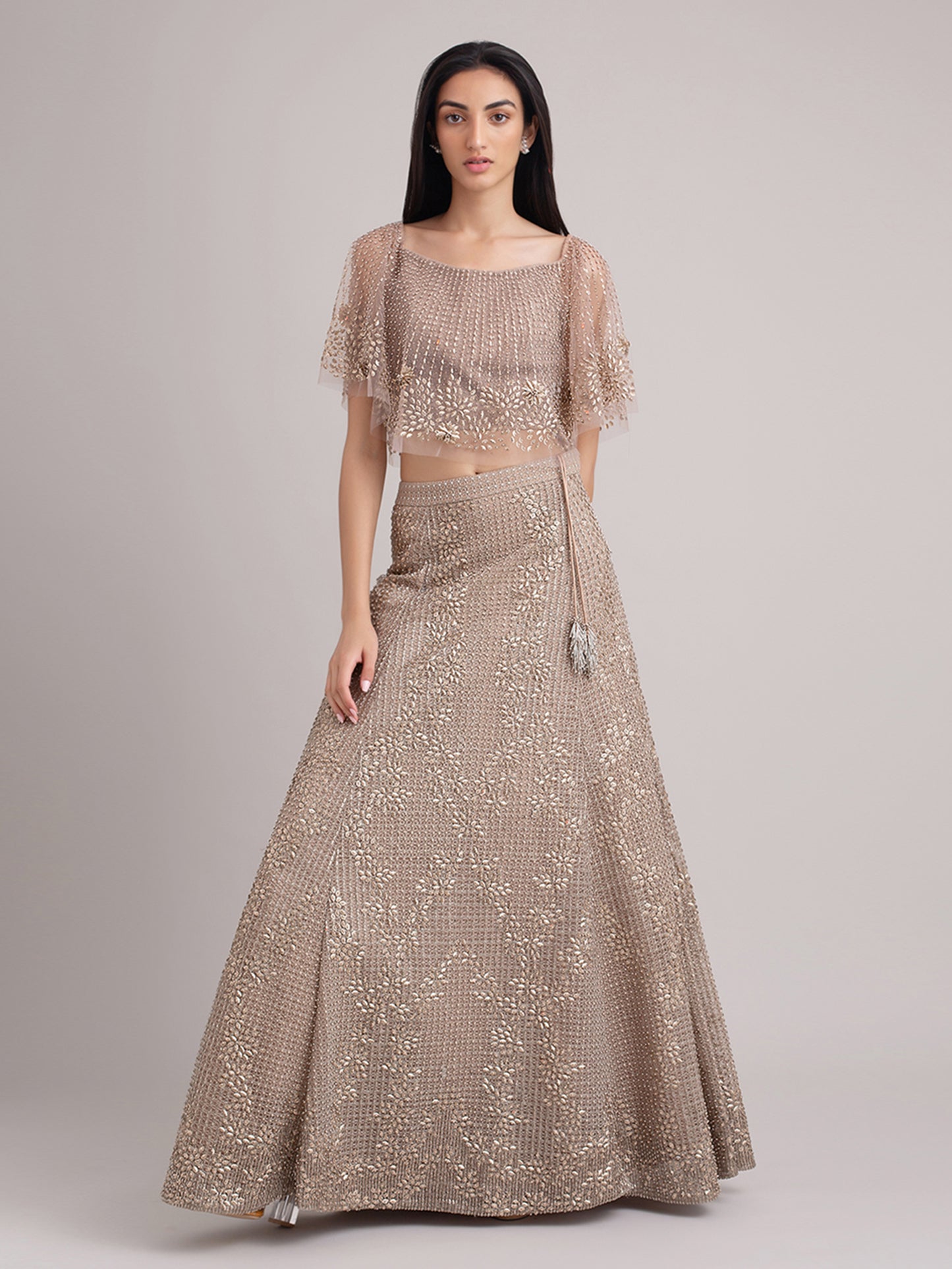 Heavily Embroidered Lehenga With Embroidered Tulle Blouse