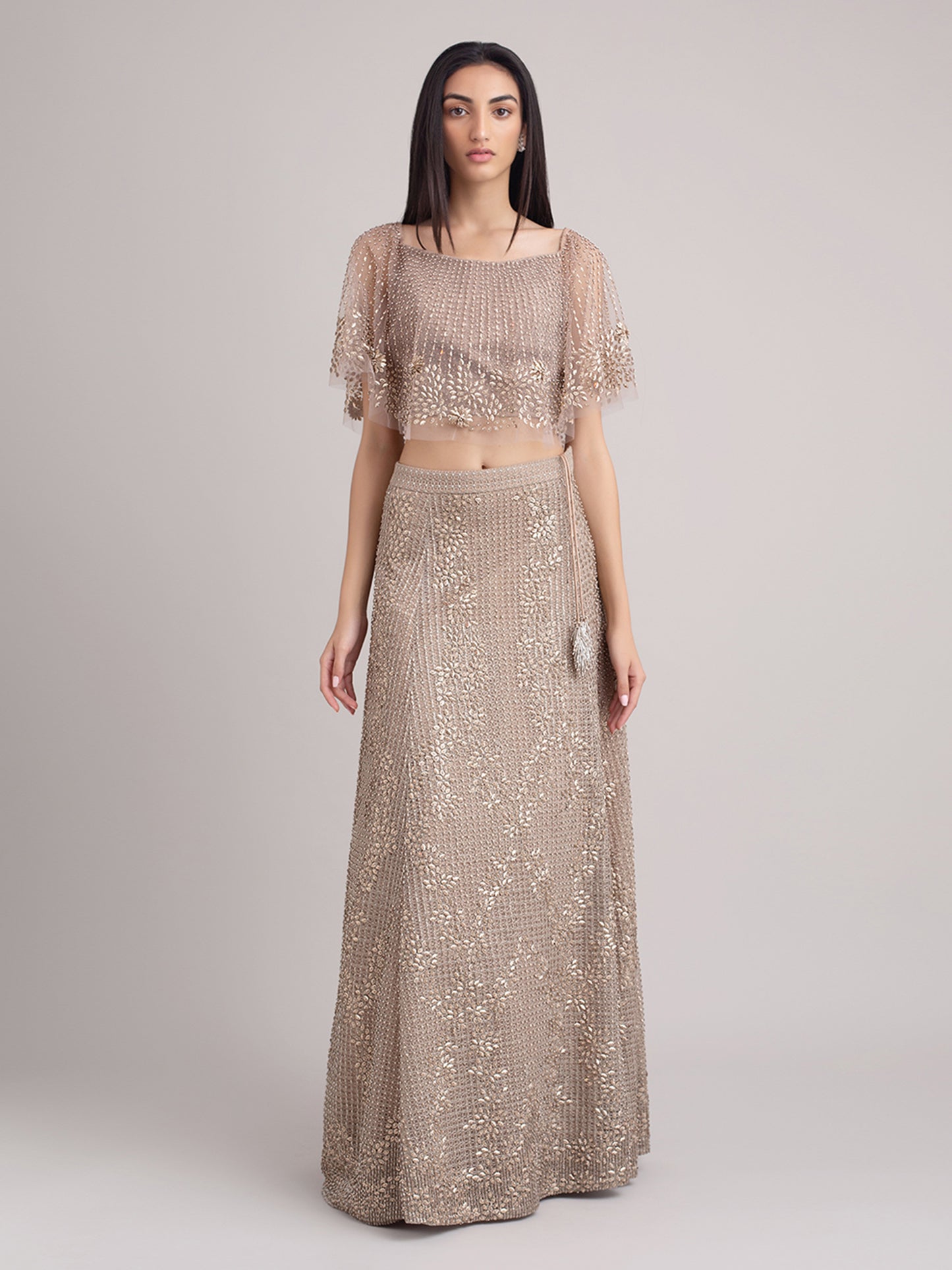 Heavily Embroidered Lehenga With Embroidered Tulle Blouse