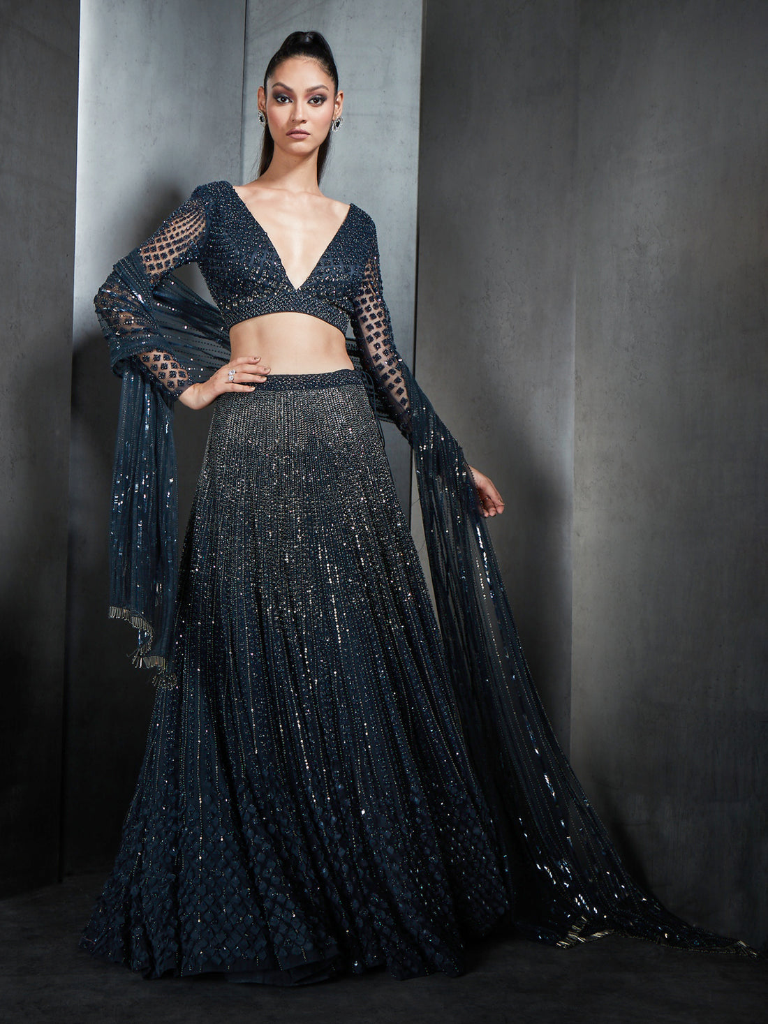 Heavily Embellished Lehenga With Deep V-Neck Blouse